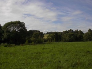 2001.08.06 17.05.52.jpg